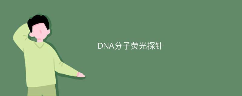 DNA分子荧光探针